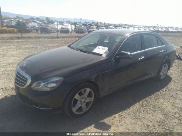 WDDHF8JB5FB119987 Mercedes-Benz E-class E 350