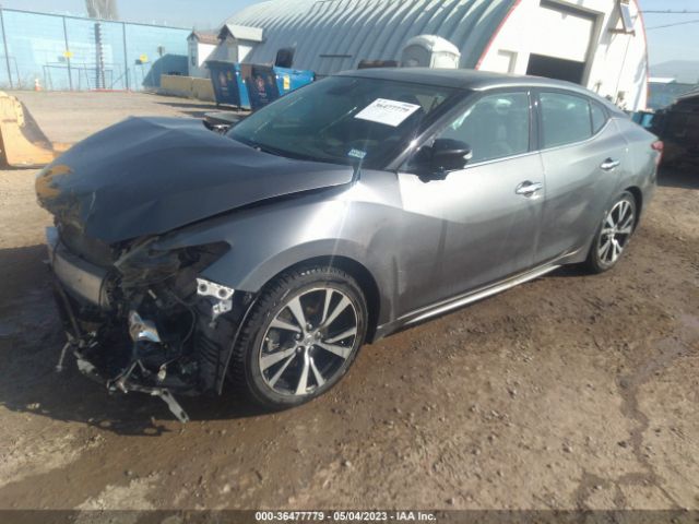 1N4AA6APXJC393771 Nissan Maxima Platinum