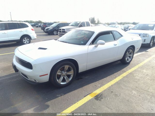 2C3CDZAG3MH536299 Dodge Challenger Sxt