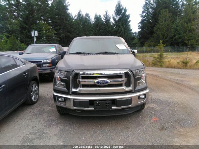 1FTEW1EP3FFB48567 Ford F-150 Xlt/xl/lariat