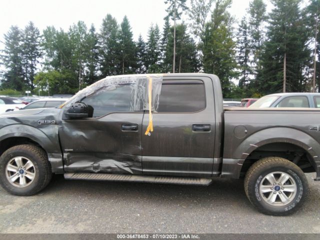 1FTEW1EP3FFB48567 Ford F-150 Xlt/xl/lariat