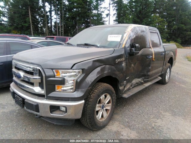 1FTEW1EP3FFB48567 Ford F-150 Xlt/xl/lariat