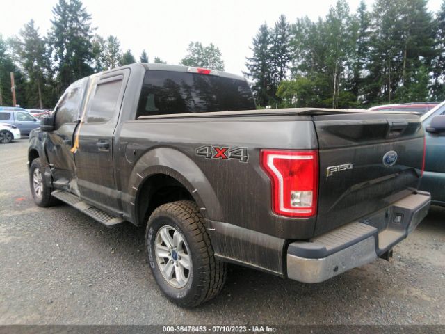 1FTEW1EP3FFB48567 Ford F-150 Xlt/xl/lariat