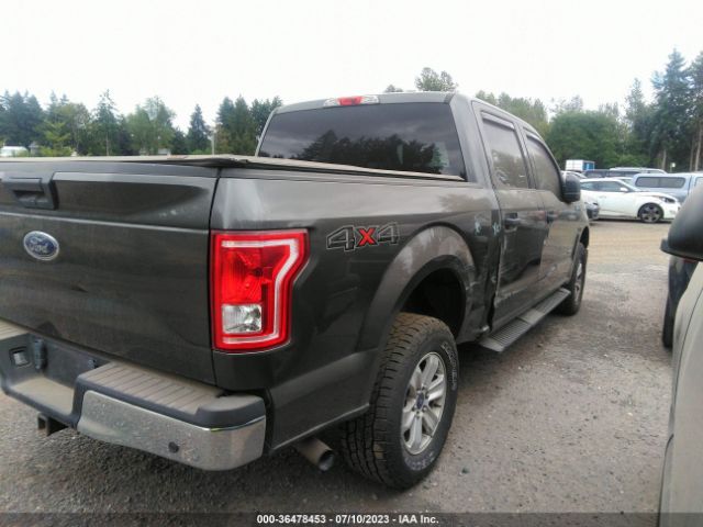 1FTEW1EP3FFB48567 Ford F-150 Xlt/xl/lariat