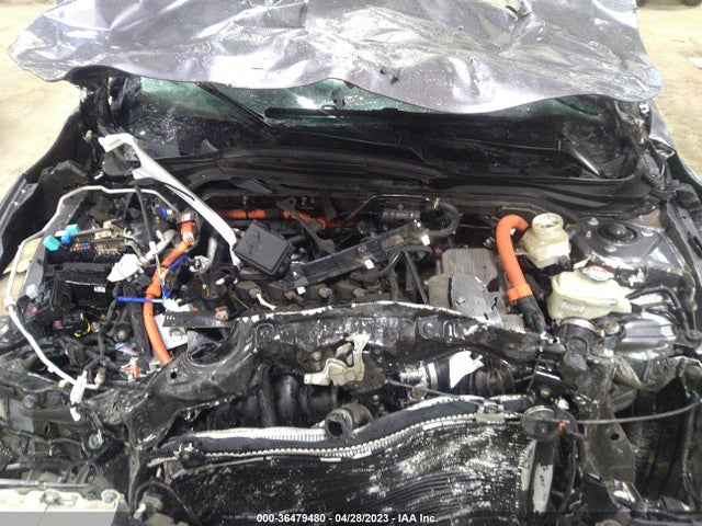 Honda INSIGHT EX 2019 19XZE4F56KE010206 Image 12