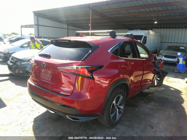 JTJBARBZ0K2196662 Lexus Nx Nx 300