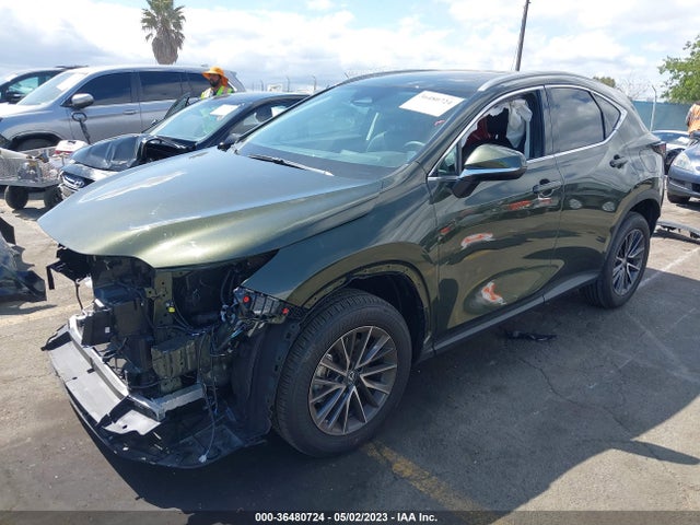 2023 Lexus NX, VIN: 2T2GDCAZ1PC003129