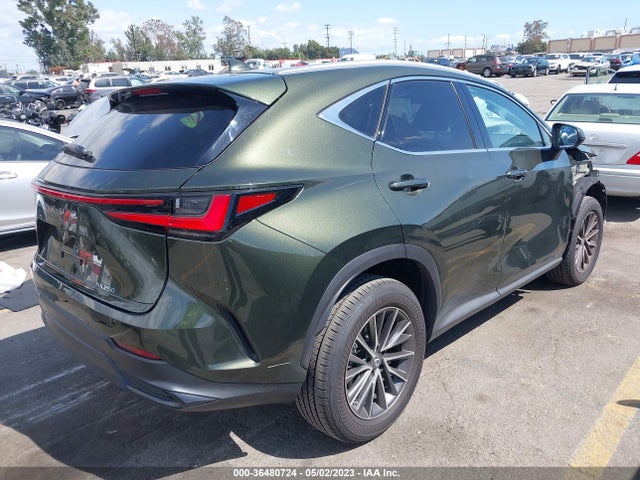 2023 Lexus NX, VIN: 2T2GDCAZ1PC003129