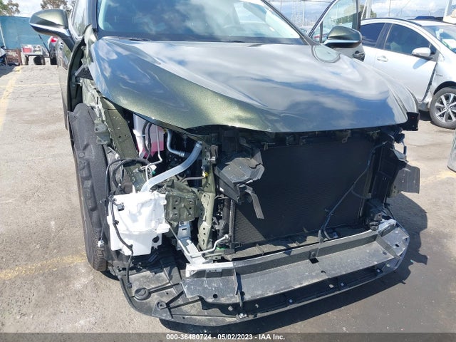 2023 Lexus NX, VIN: 2T2GDCAZ1PC003129