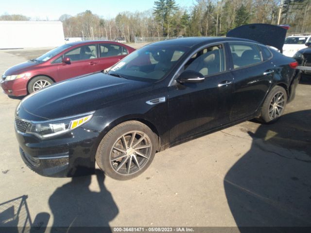 5XXGU4L3XGG079802 KIA OPTIMA EX