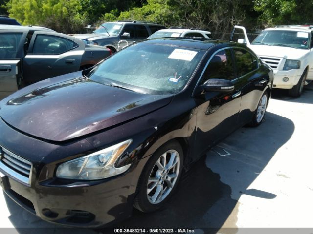 1N4AA5AP5EC492689 Nissan Maxima 3.5 Sv
