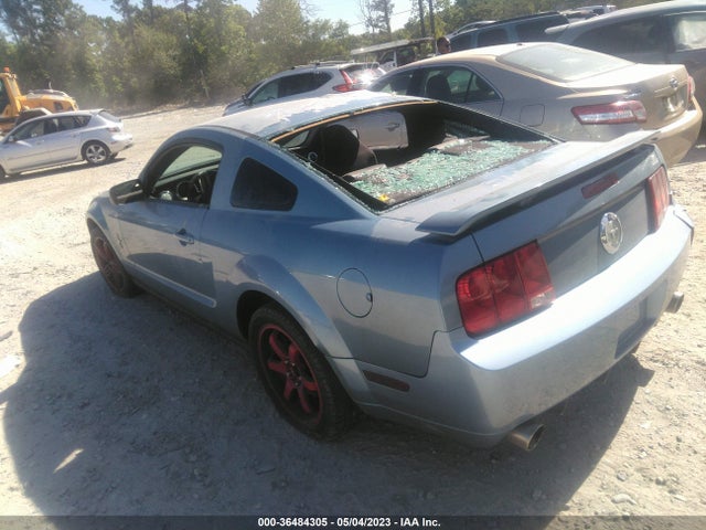 2006 FORD MUSTANG STANDARD VIN: 1ZVFT80N765260819