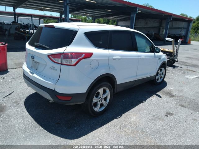 1FMCU0GX3EUC97930 Ford ESCAPE SE