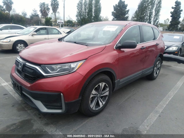 Honda CR-V LX 2021 2HKRW1H20MH406399 Image 2