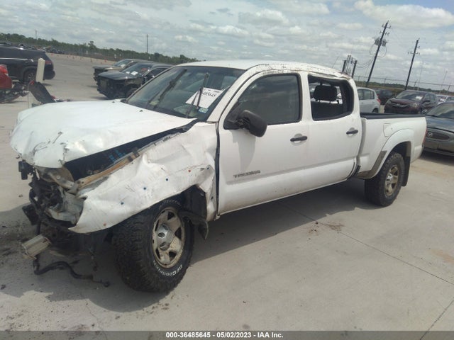 2006 TOYOTA TACOMA VIN: 3TMMU52NX6M003473