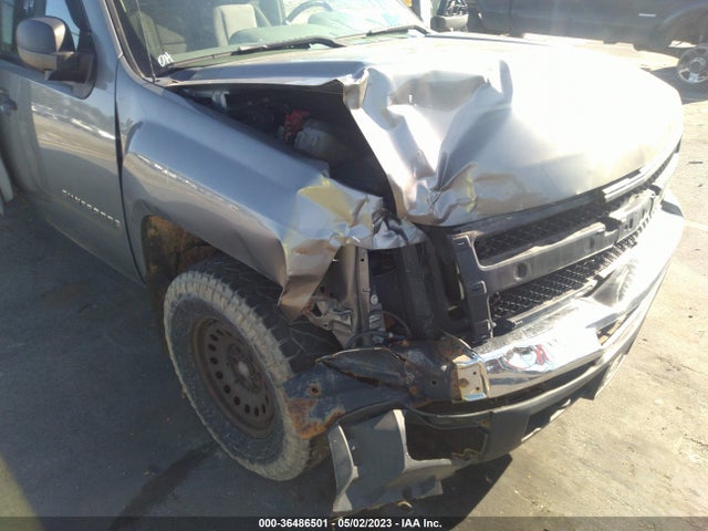 2009 CHEVROLET SILVERADO 1500 WORK TRUCK VIN: 1GCEK19J89Z261001