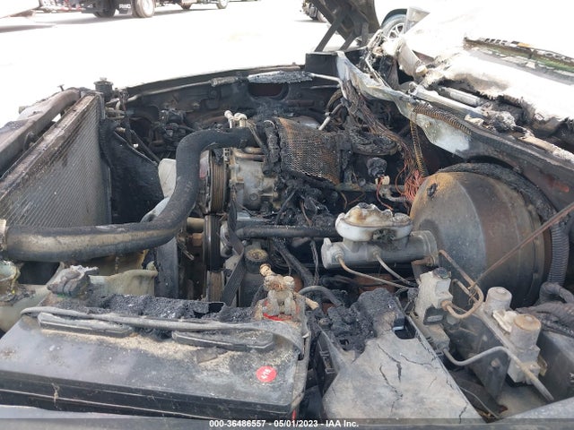 1999 DODGE RAM 1500 VIN: 3B7HC13Y1XG113625
