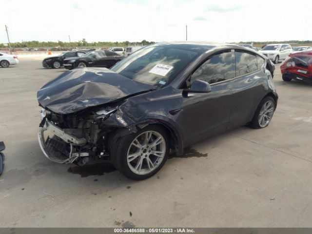 5YJYGDEE5MF260976 Tesla Model Y Long Range