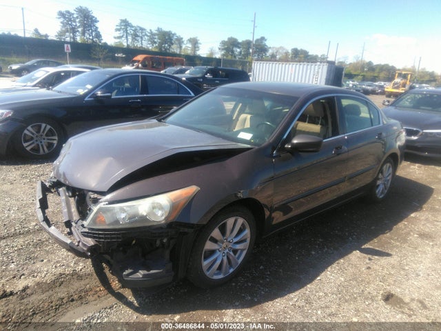 2011 HONDA ACCORD SDN EX-L VIN: 1HGCP2F8XBA077698
