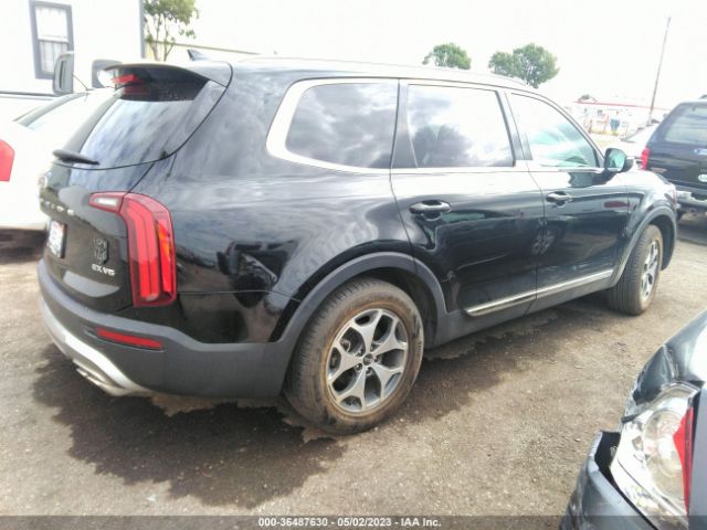 5XYP34HC1LG006819 KIA Telluride Ex