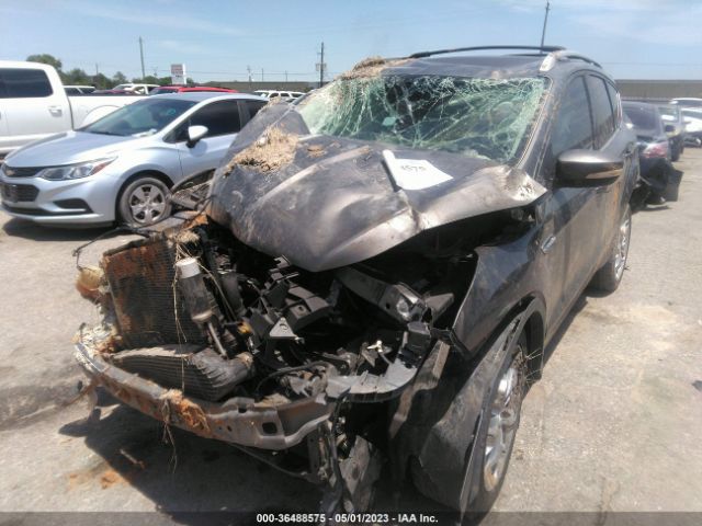 1FMCU0J93EUB45396 Ford Escape Titanium