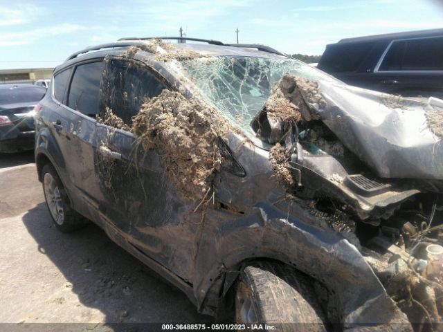 1FMCU0J93EUB45396 Ford Escape Titanium