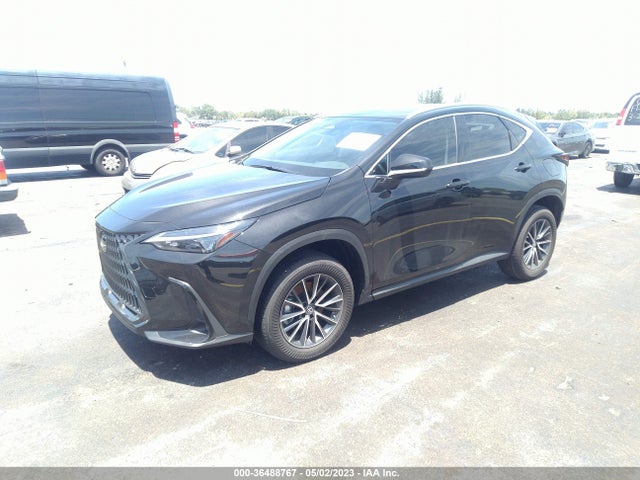 2023 Lexus NX, VIN: 2T2ADCAZXPC005242