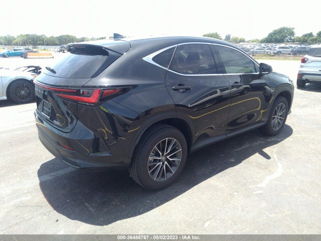 2023 Lexus NX, VIN: 2T2ADCAZXPC005242