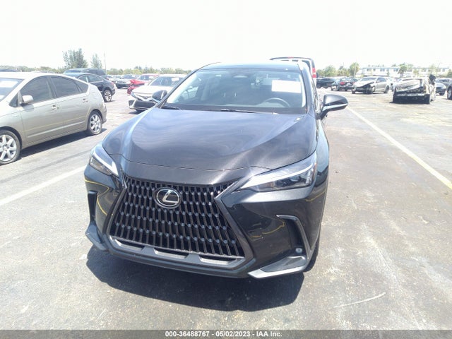 2023 Lexus NX, VIN: 2T2ADCAZXPC005242