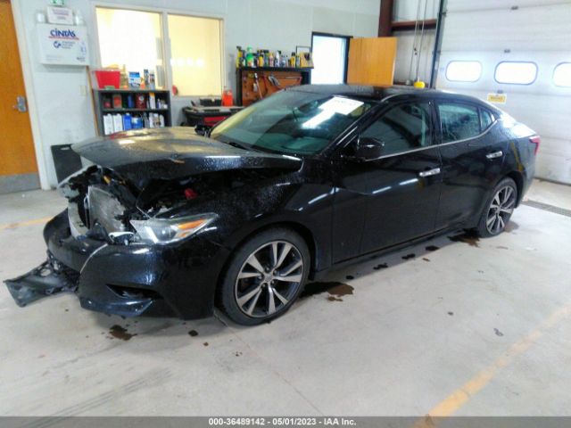 1N4AA6AP3GC433066 Nissan MAXIMA 3.5