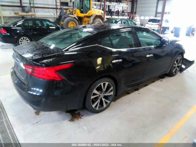 1N4AA6AP3GC433066 Nissan MAXIMA 3.5