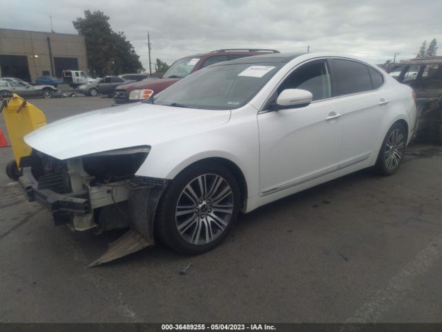 KNALN4D74E5157339 KIA Cadenza Premium