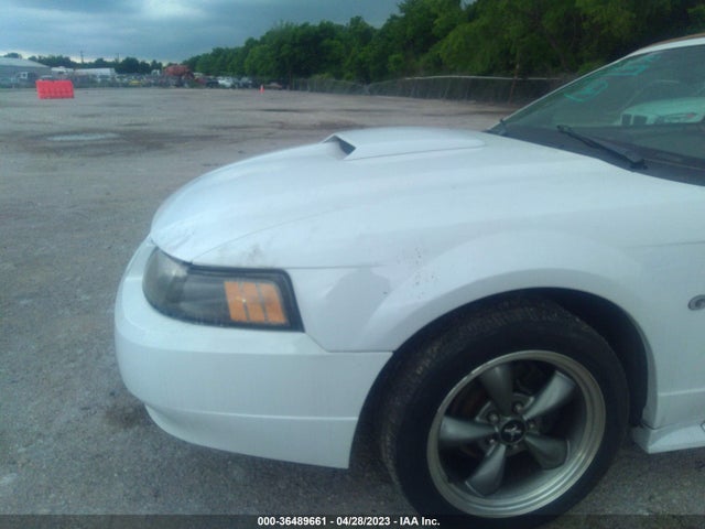 2003 FORD MUSTANG GT VIN: 1FAFP45X13F444319