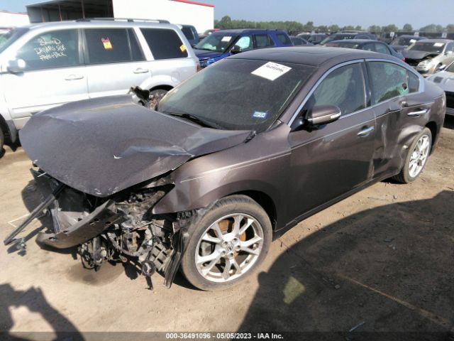1N4AA5AP2EC453560 Nissan Maxima 3.5 Sv