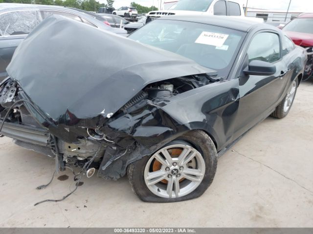 1ZVBP8AM2E5240985 Ford Mustang V6
