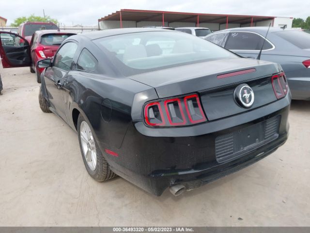 1ZVBP8AM2E5240985 Ford Mustang V6