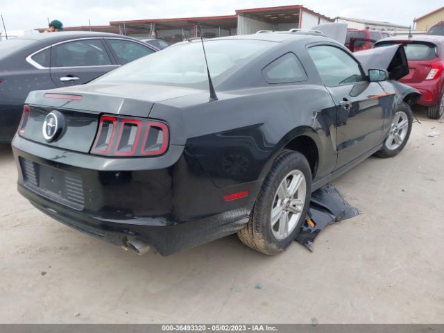 1ZVBP8AM2E5240985 Ford Mustang V6