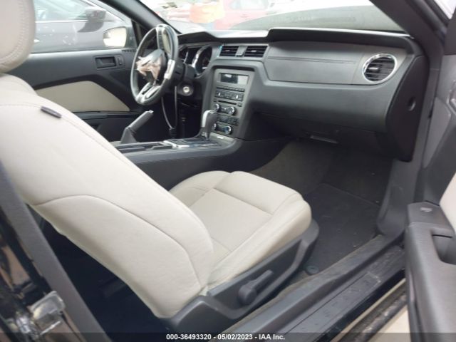 1ZVBP8AM2E5240985 Ford Mustang V6