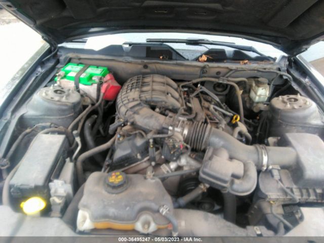 1ZVBP8AM5E5260597 Ford Mustang V6