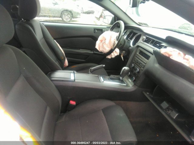 1ZVBP8AM5E5260597 Ford Mustang V6