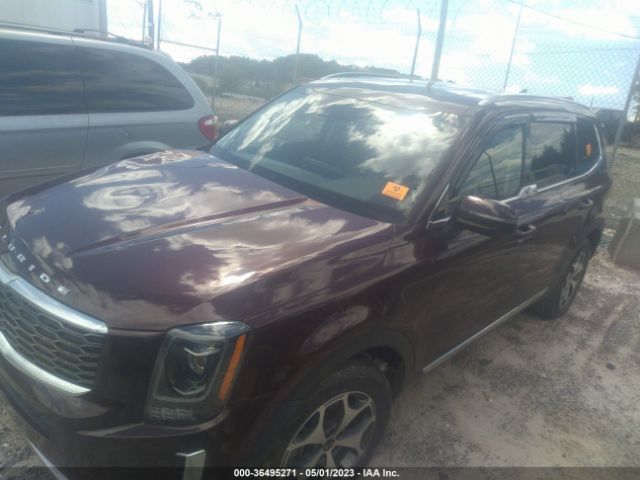 5XYP34HC1LG003841 KIA Telluride Ex