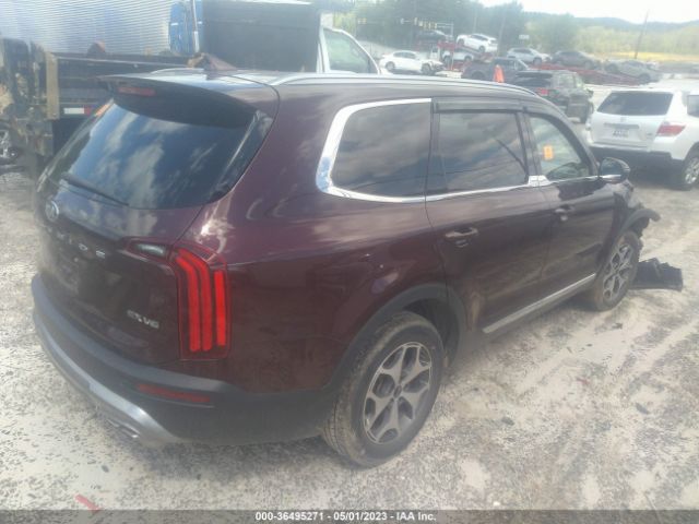 5XYP34HC1LG003841 KIA Telluride Ex