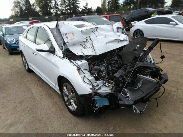 2019 5NPE34AF7KH739363 main image