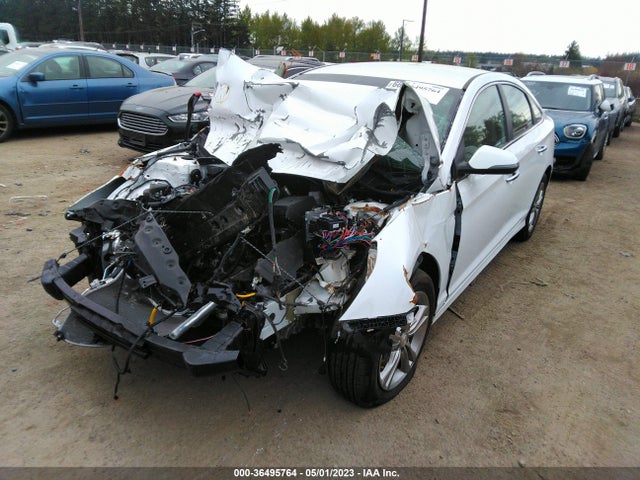 Hyundai SONATA SEL 2019 5NPE34AF7KH739363 Image 2