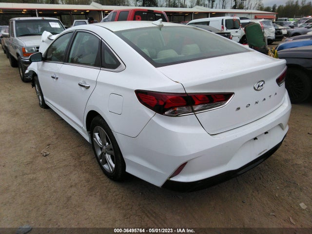 Hyundai SONATA SEL 2019 5NPE34AF7KH739363 Image 3
