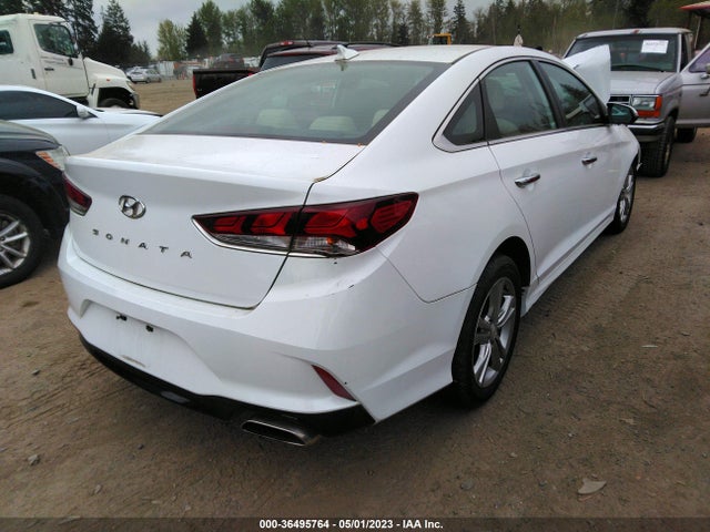 Hyundai SONATA SEL 2019 5NPE34AF7KH739363 Image 4