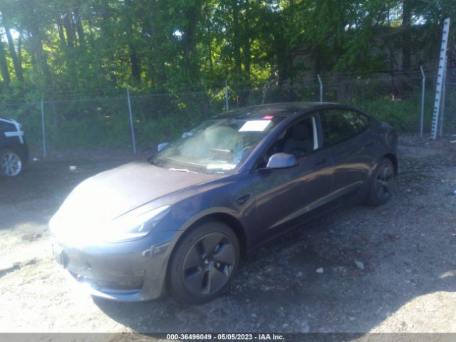 5YJ3E1EA9PF510204 Tesla MODEL 3