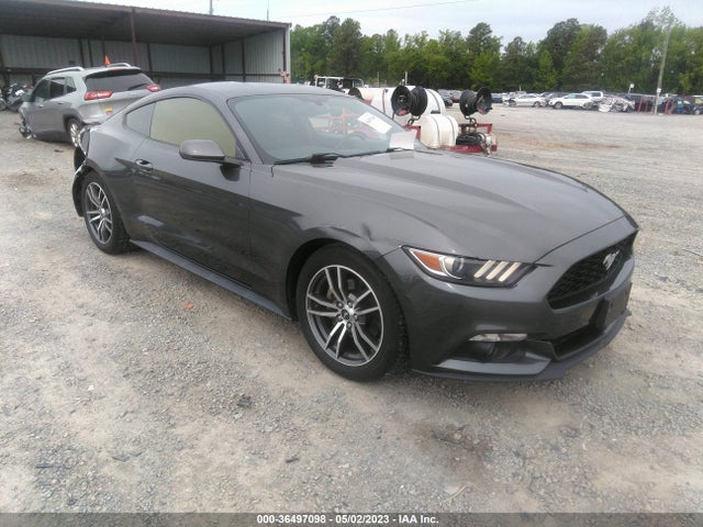 2017 1FA6P8TH5H5260100 main image