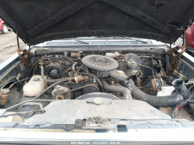 1988 DODGE RAMCHARGER AD-100 VIN: 3B4GD12Y8JM817286