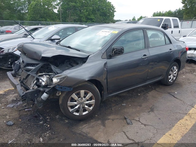 2011 TOYOTA COROLLA LE VIN: 2T1BU4EE7BC683803